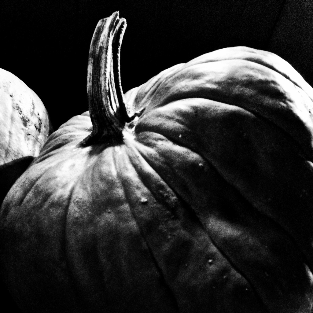 Black and White Pumpkin